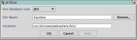  CSR Generation with IBM WebSphere 