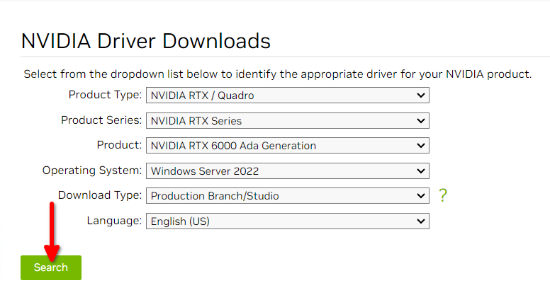 Seleziona driver Nvidia per Windows