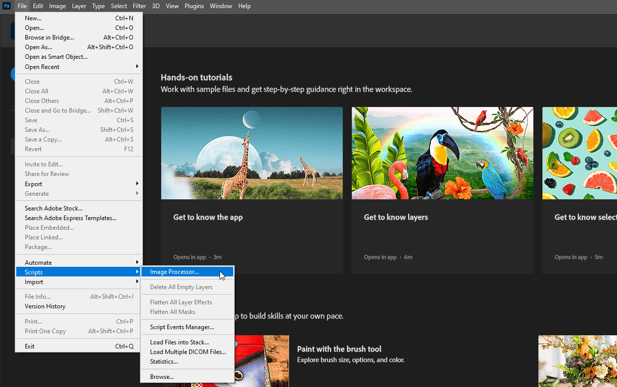 Multiple image processor
