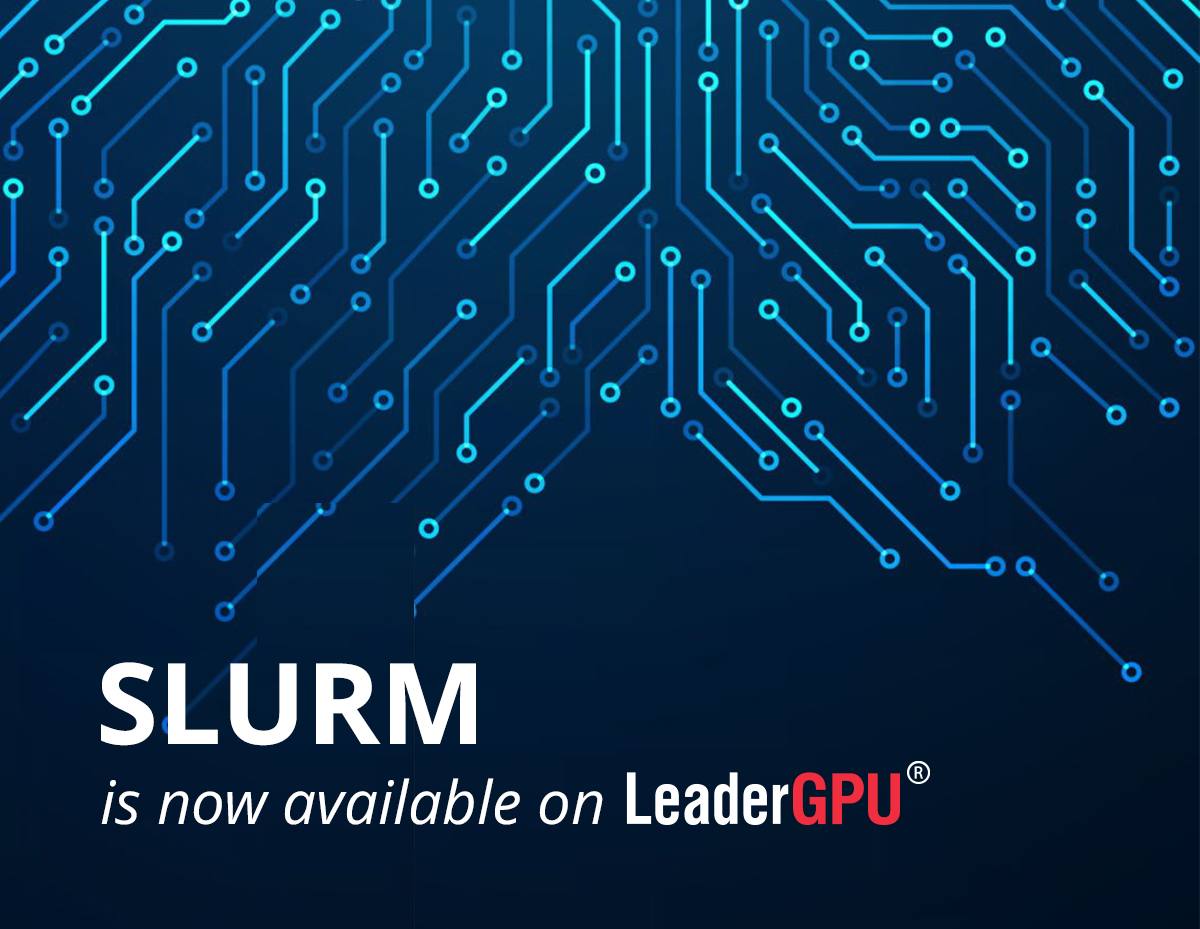 Meet slurm cluster on leadergpu servers